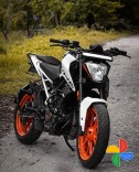 Duke bike sale