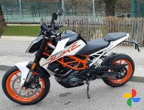 Duke bike sale