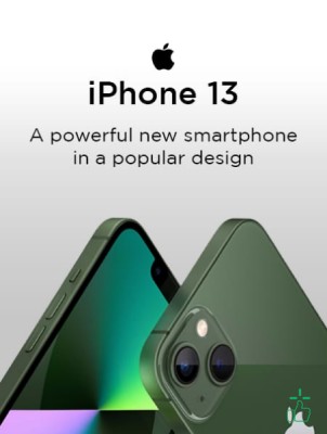 Iphone 13 Max Pro